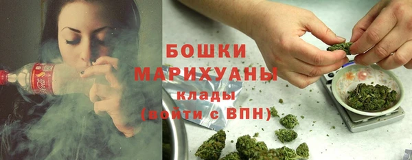 скорость Богородск