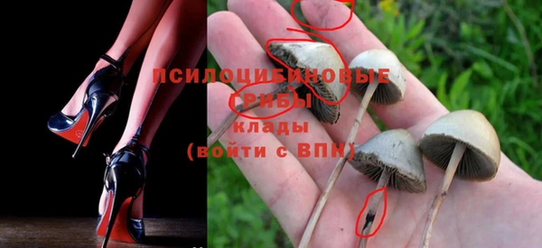 ECSTASY Бугульма