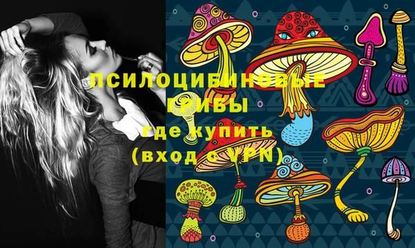 героин Богданович