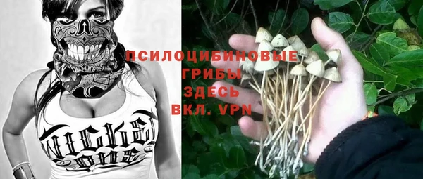 дмт Богородицк