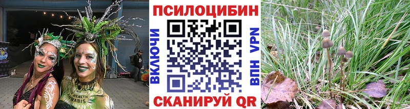 Псилоцибиновые грибы Psilocybine cubensis  где найти наркотики  Духовщина 