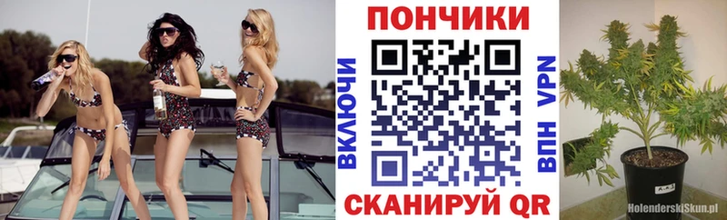 darknet какой сайт  Духовщина  Марихуана гибрид 